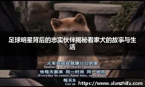 足球明星背后的忠实伙伴揭秘看家犬的故事与生活